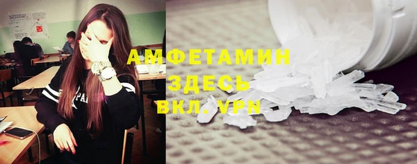 сатива Надым