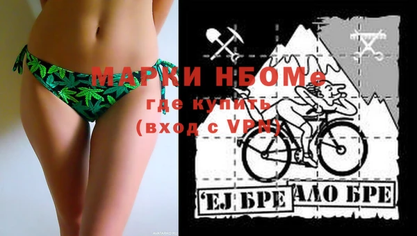 сатива Надым