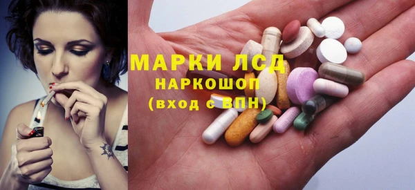 сатива Надым